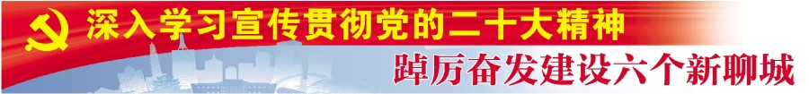 深入學習宣傳貫徹黨的二十大精神踔厲奮發(fā)建設(shè)六個新聊城.jpg